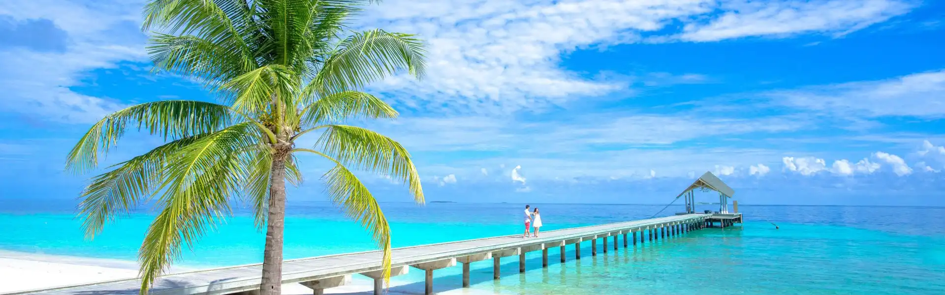 Promotion All Year Round