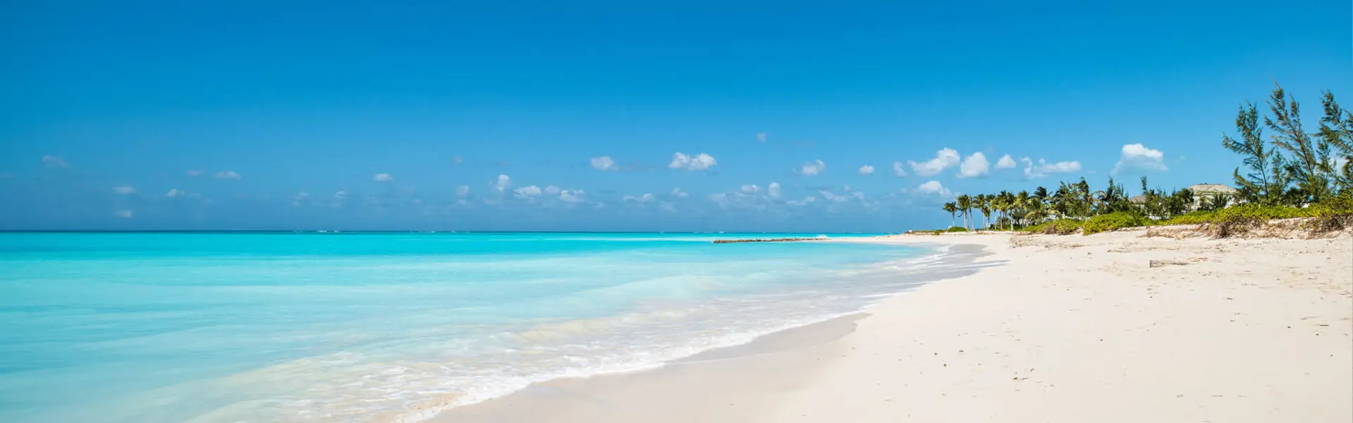 Last minute cruise deals