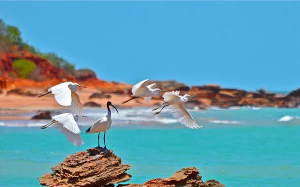 Images of Broome