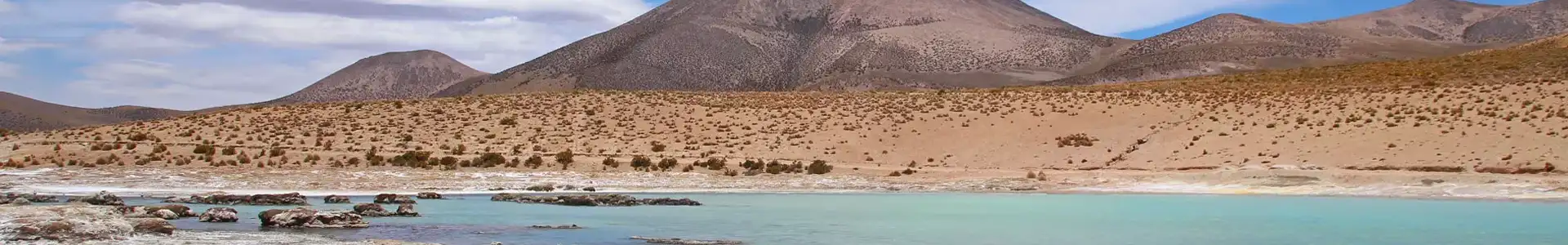 Arica