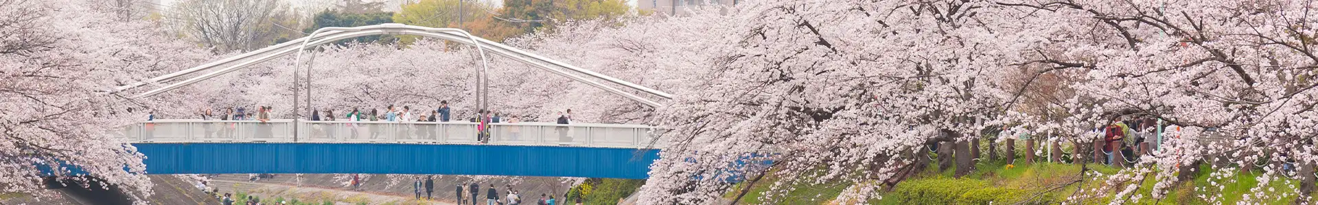 Nagoya