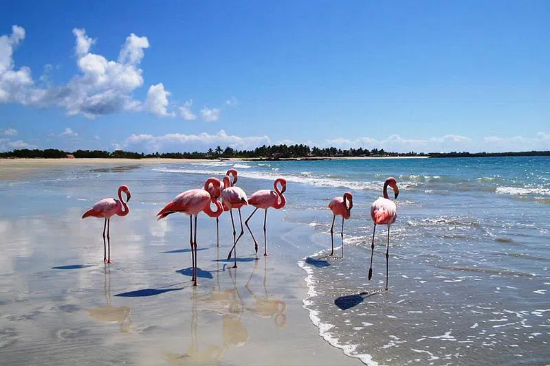 Puerto Villamil