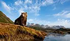 Alaska