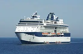 Images of Celebrity Constellation