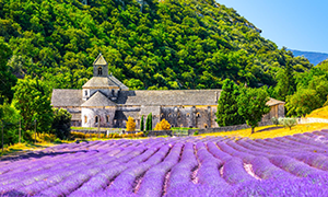 Images of France