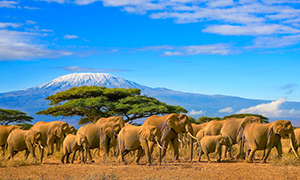 Kenya