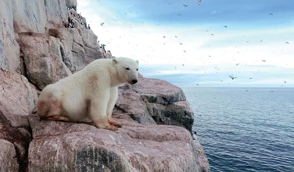 coats-island-nunavut