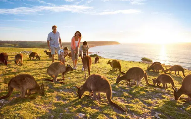 kangaroo-island