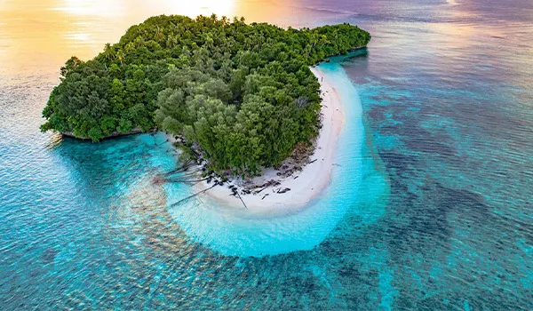 mioskon-island
