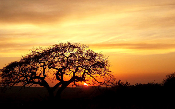 richards bay touristic port kwazulu natal south africa oceania christmas cruises